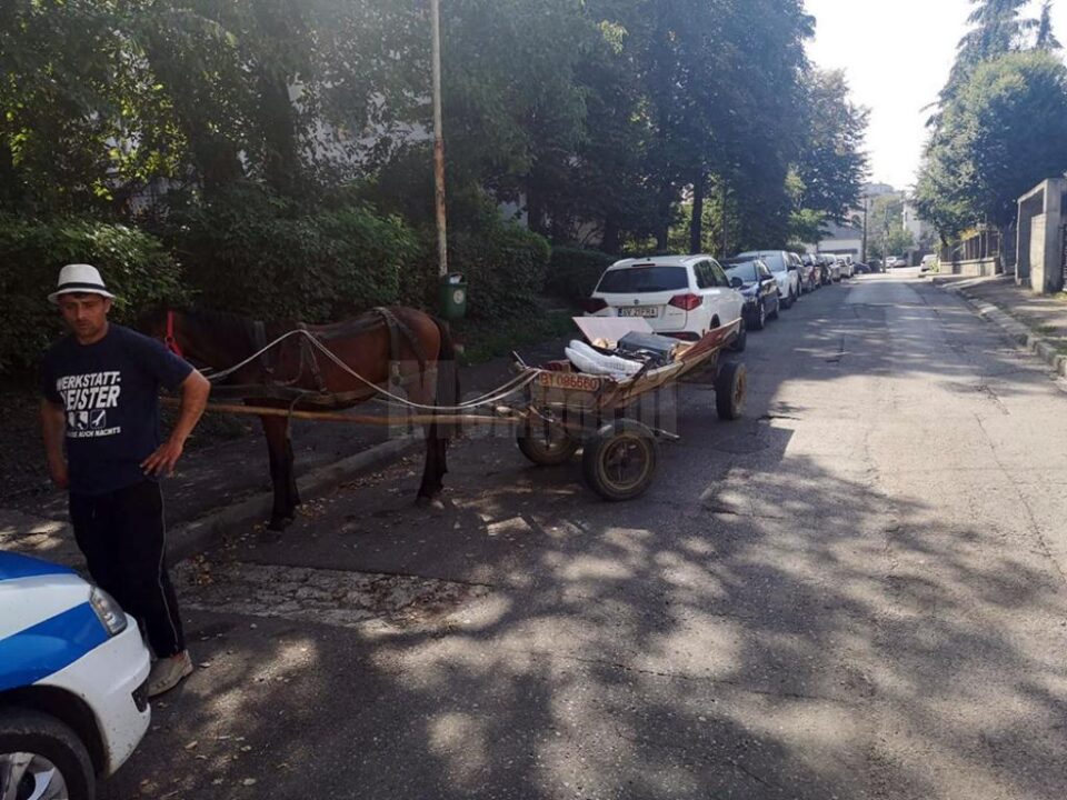 Prins cu calul și căruța pe strada 6 Noiembrie, a luat calul și-a plecat, neavând bani de amendă Prins cu calul și căruța pe strada 6 Noiembrie, a luat calul și-a plecat, neavând bani de amendă