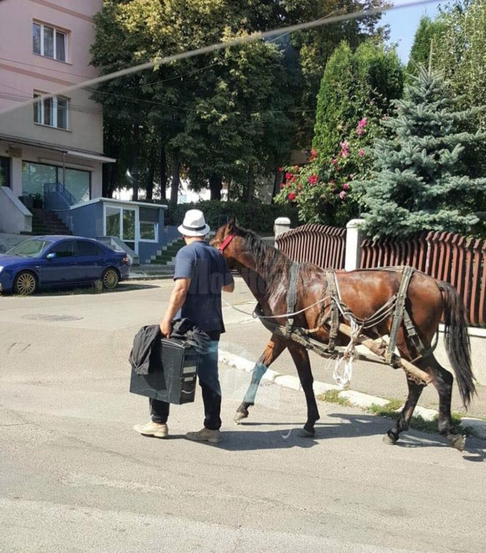 Prins cu calul și căruța pe strada 6 Noiembrie, a luat calul și-a plecat, neavând bani de amendă