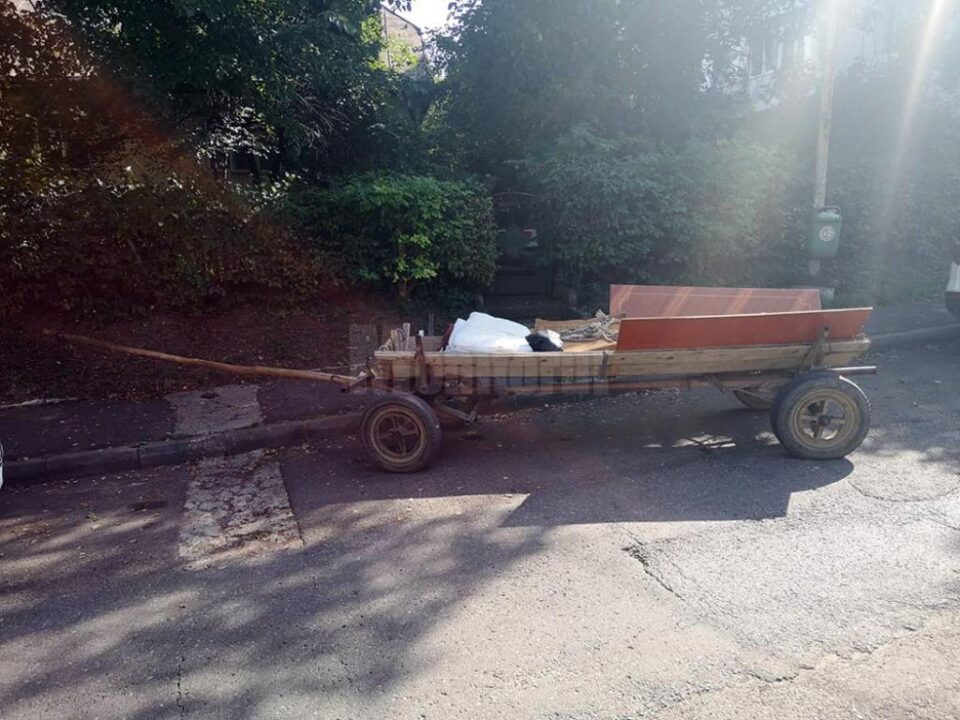 Prins cu căruța în Suceava, a luat calul și-a plecat, fără atelaj