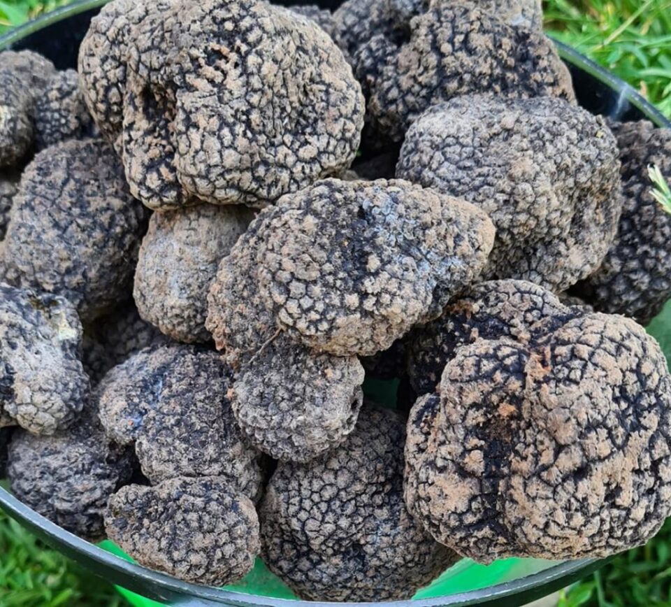 Imagini de la fața locului