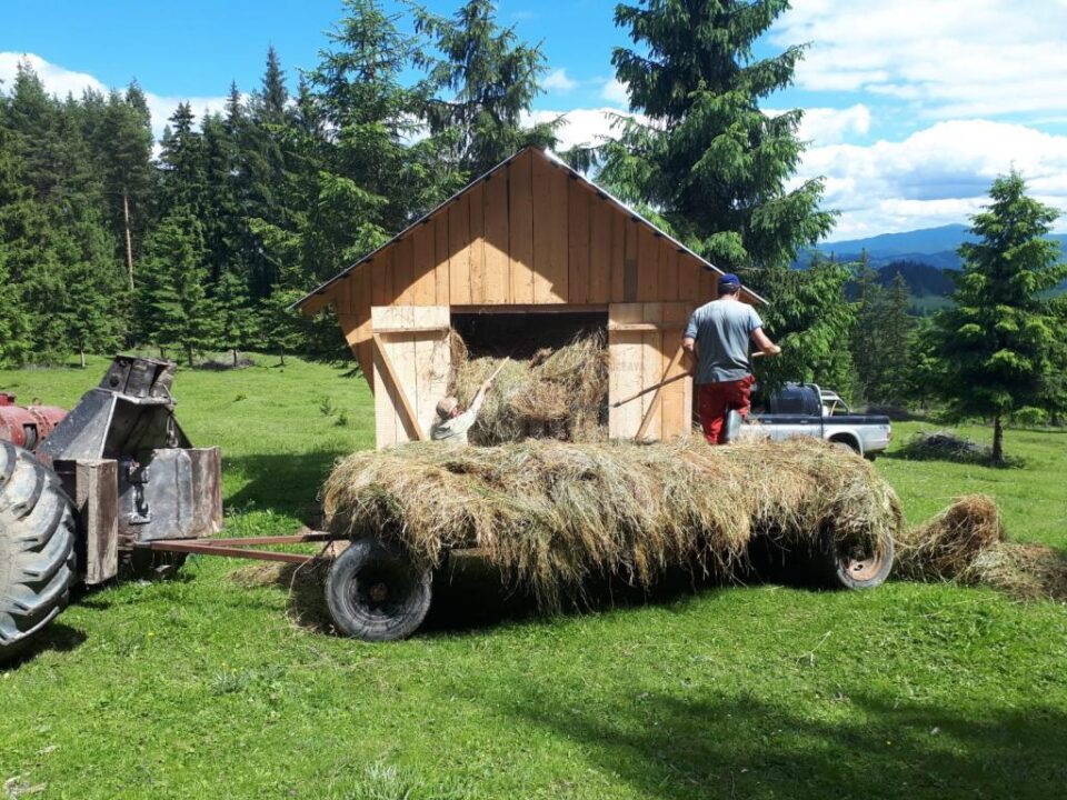 Pregătirea hrănitorilor de animale sălbatice pentru sezonul rece