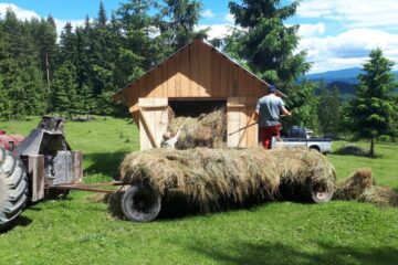 Pregătirea hrănitorilor de animale sălbatice pentru sezonul rece