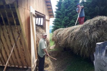 Pregătirea hrănitorilor de animale sălbatice pentru sezonul rece