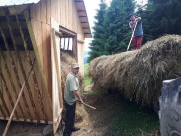 Pregătirea hrănitorilor de animale sălbatice pentru sezonul rece