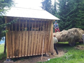 Pregătiri pentru boncănitul cerbilor și sezonul rece la Ocolul Silvic Breaza