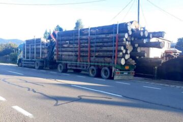 Tirul supraîncărcat cu bușteni