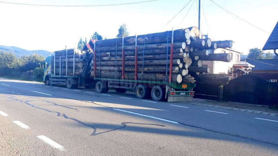 Tirul supraîncărcat cu bușteni