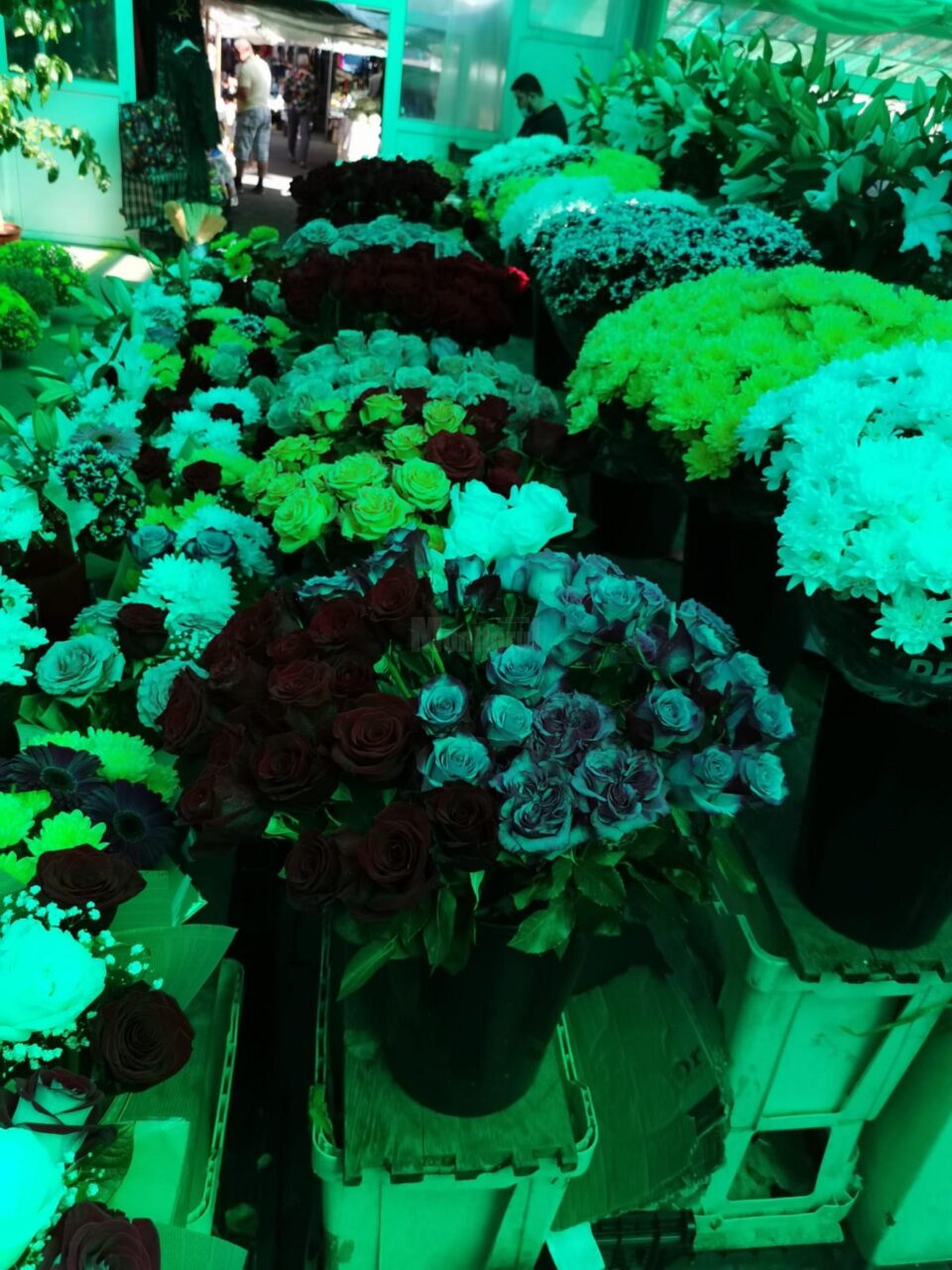 Floraresele din Piața Mare au rămas cu marfa neatinsă în prima zi de școlă