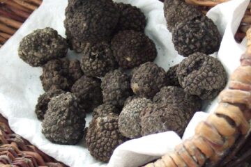 Trufele negre au fost confiscate