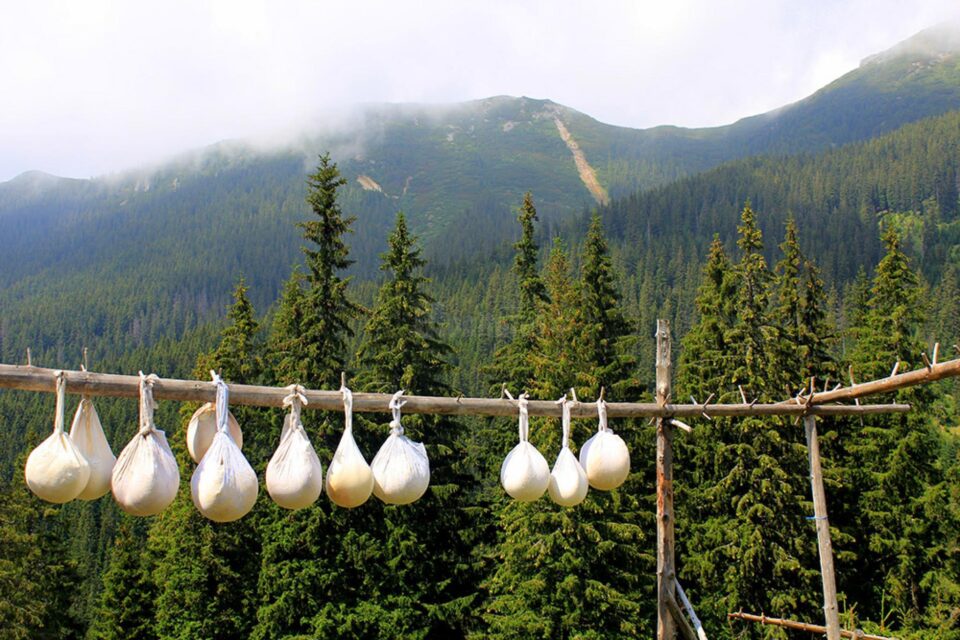Eveniment cu gust de toamnă în Bucovina: EcoBrunch Țara Dornelor