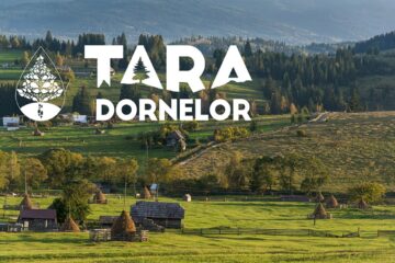 Eveniment cu gust de toamnă în Bucovina: EcoBrunch Țara Dornelor