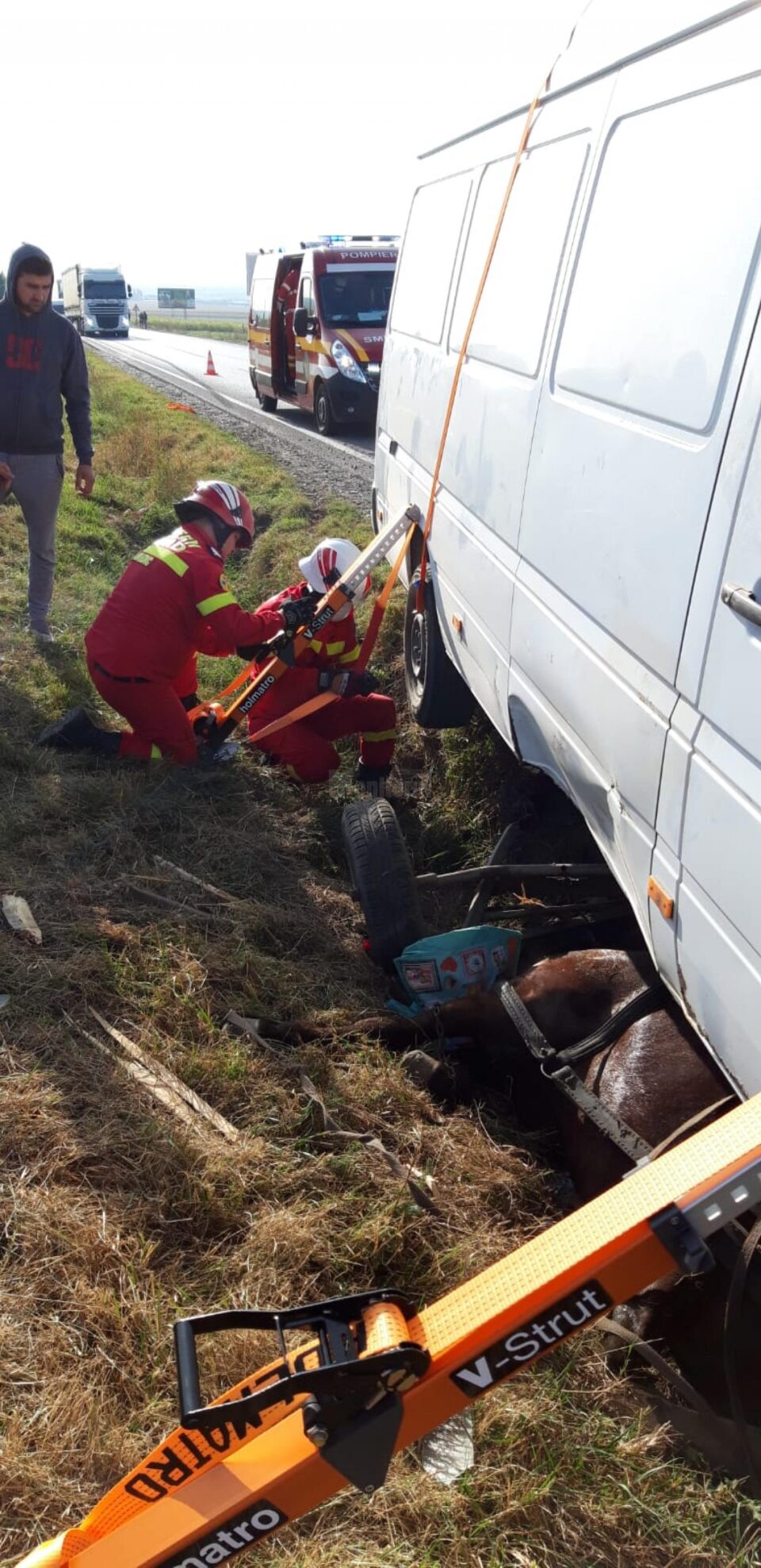 Pompierii au reusit extragerea calului de sub microbuz in urma actiunii de descarcerare