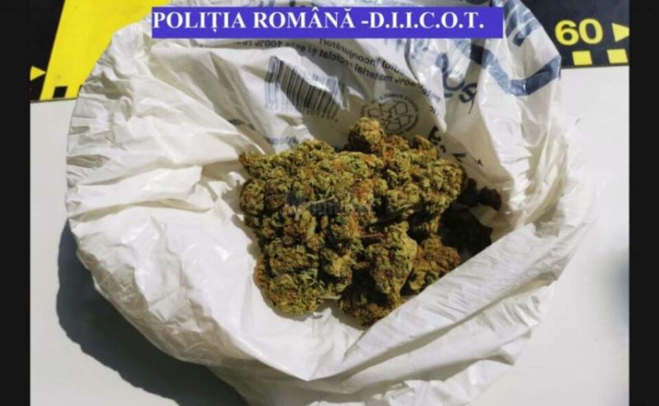 cannabis