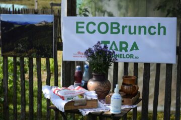 La Panaci, EcoBrunch pe tărâmul Izvoarelor