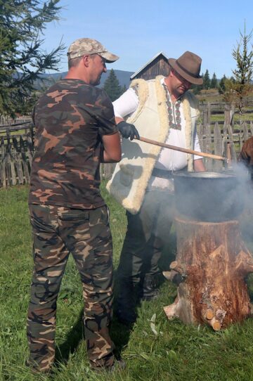 Balmoș la buturugă