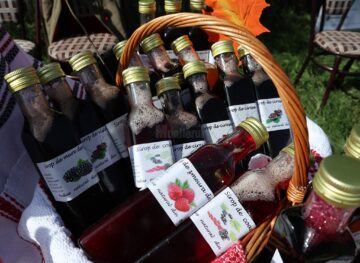 La Panaci, EcoBrunch pe tărâmul Izvoarelor