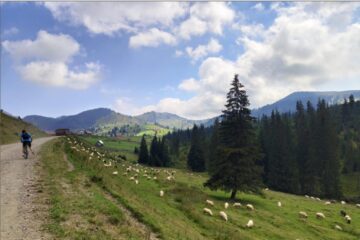 La Izvoarele Sucevei, fâșia verde este la doi pași
