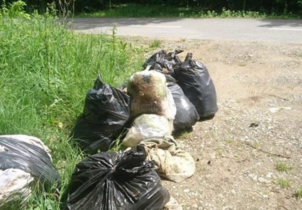 Gunoi aruncat la Valea Moldovei