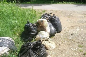 Gunoi aruncat la Valea Moldovei