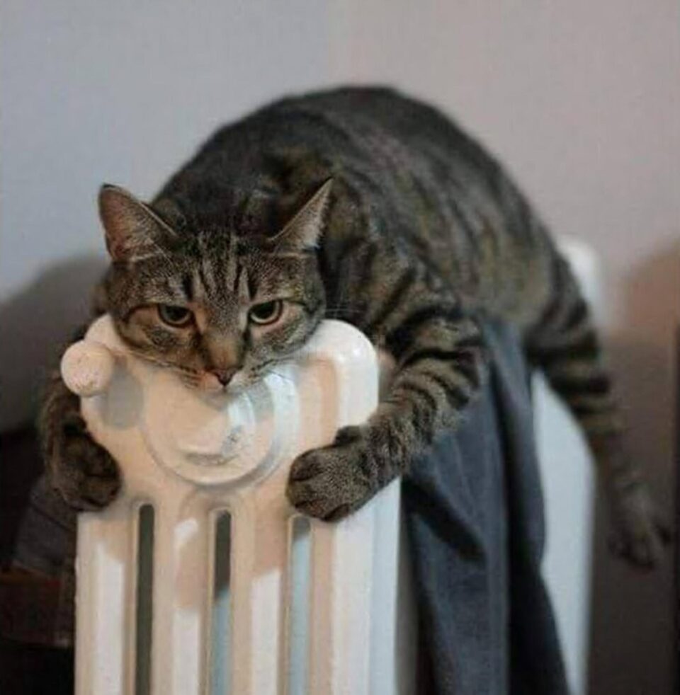 Pregătirile pentru furnizarea căldurii în sezonul rece 2020-2021 încep în municipiul Suceava Pregătirile pentru furnizarea căldurii în sezonul rece 2020-2021 încep în municipiul Suceava