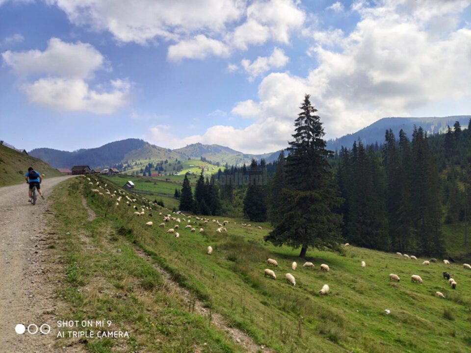 La Izvoarele Sucevei, fâșia verde este la doi pași La Izvoarele Sucevei, fâșia verde este la doi pași