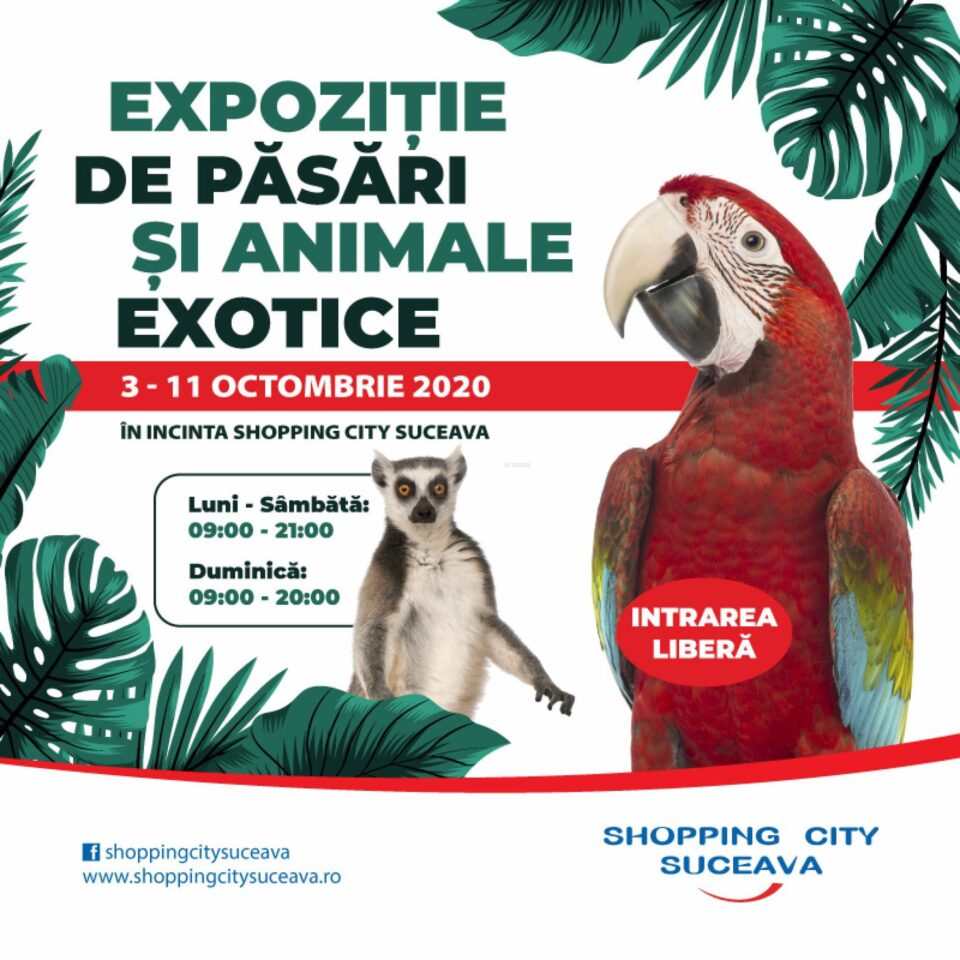 În perioada 3 – 11 octombrie 2020, Shopping City Suceava organizează o expoziție inedită de păsări și animale exotice În perioada 3 – 11 octombrie 2020, Shopping City Suceava organizează o expoziție inedită de păsări și animale exotice