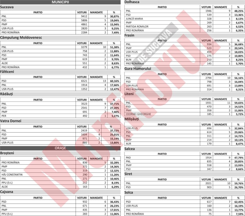 Rezultatele oficiale, complete, la alegerile pentru consiliile locale din toate localitățile județului