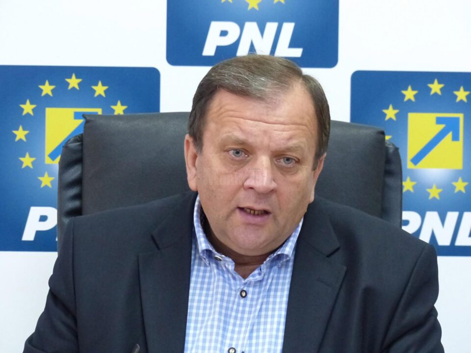 Liderul PNL Suceava, Gheorghe Flutur