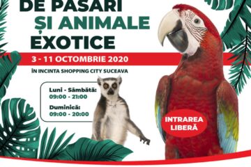 În perioada 3 – 11 octombrie 2020, Shopping City Suceava organizează o expoziție inedită de păsări și animale exotice