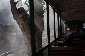 Povestea Dianei, fata care a plimbat mii de turiști cu mocănița de la Moldovița. Foto: Ema Motrescu