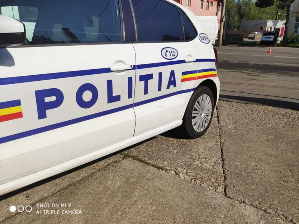 Echipajul de poliție a oprit pentru control un camion care transporta lemn