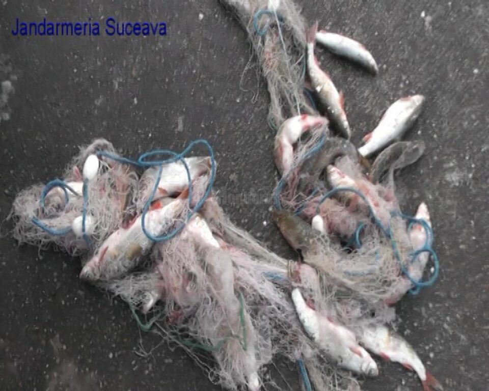 Jandarmii suceveni au organizat, duminică, o acțiune de prevenire și combatere a braconajului piscicol Jandarmii suceveni au organizat, duminică, o acțiune de prevenire și combatere a braconajului piscicol