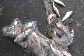 Pescari amendați după controale la acumulările Rogojești, Hănțești și Lipoveni