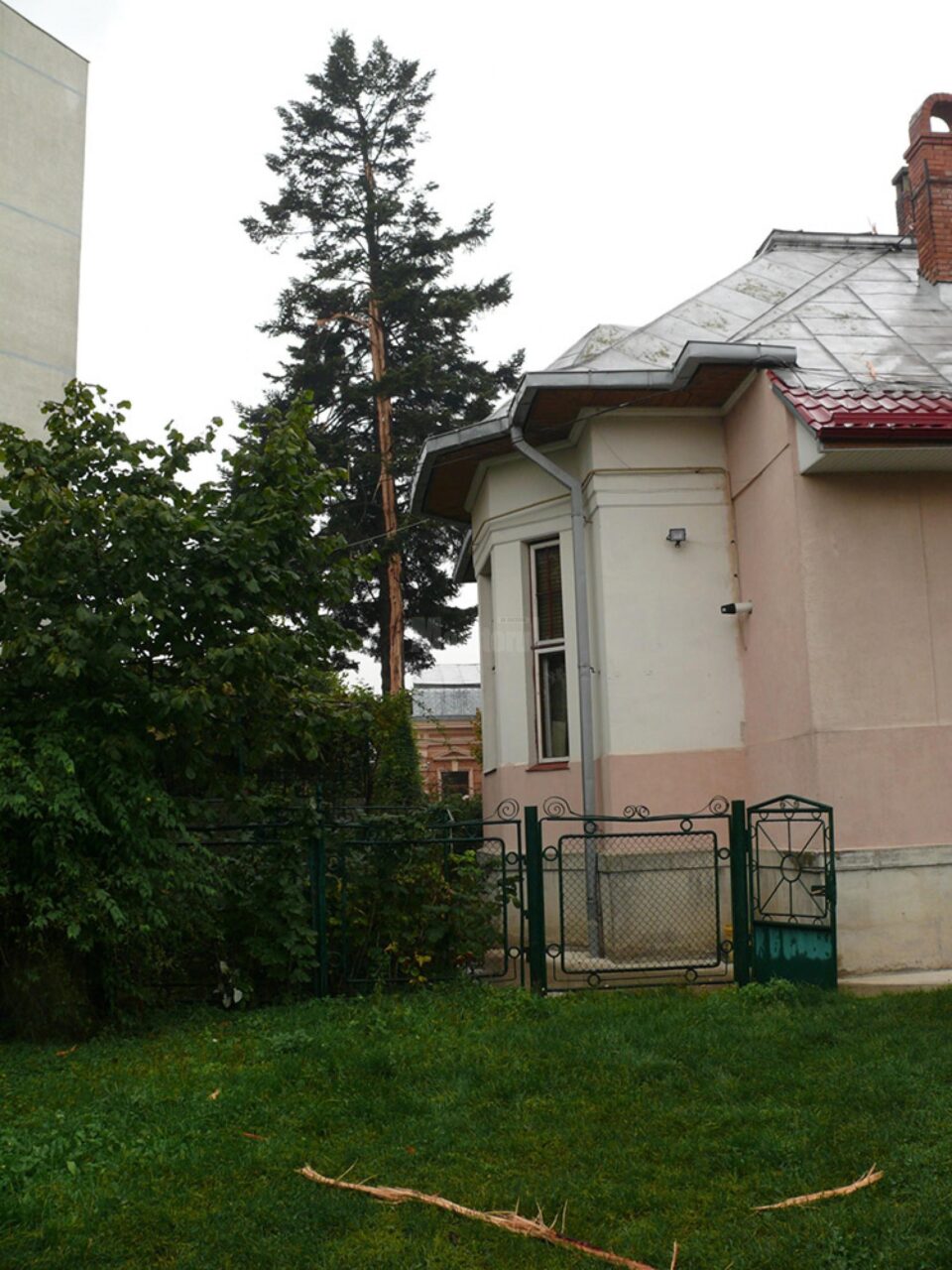 Unul dintre cei mai bătrâni brazi din Fălticeni, lovit de trăsnet