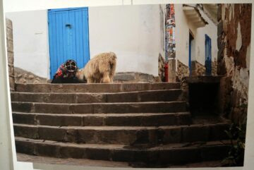 A început Festivalul Internațional de Film, Diaporamă și Fotografie „Toamnă la Voroneț”