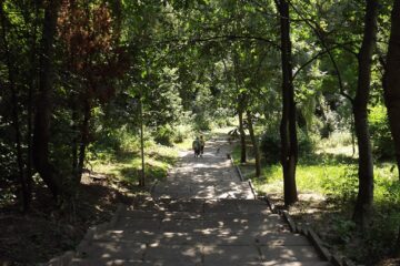 Parcul Șipote intră în reparații la alei și iluminat public