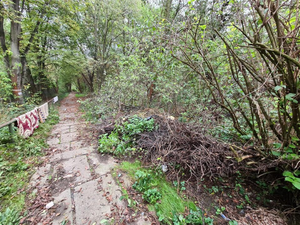 Un colț al parcului Șipote, transformat de romii din zonă în spațiu de agățat chiloți și pantaloni