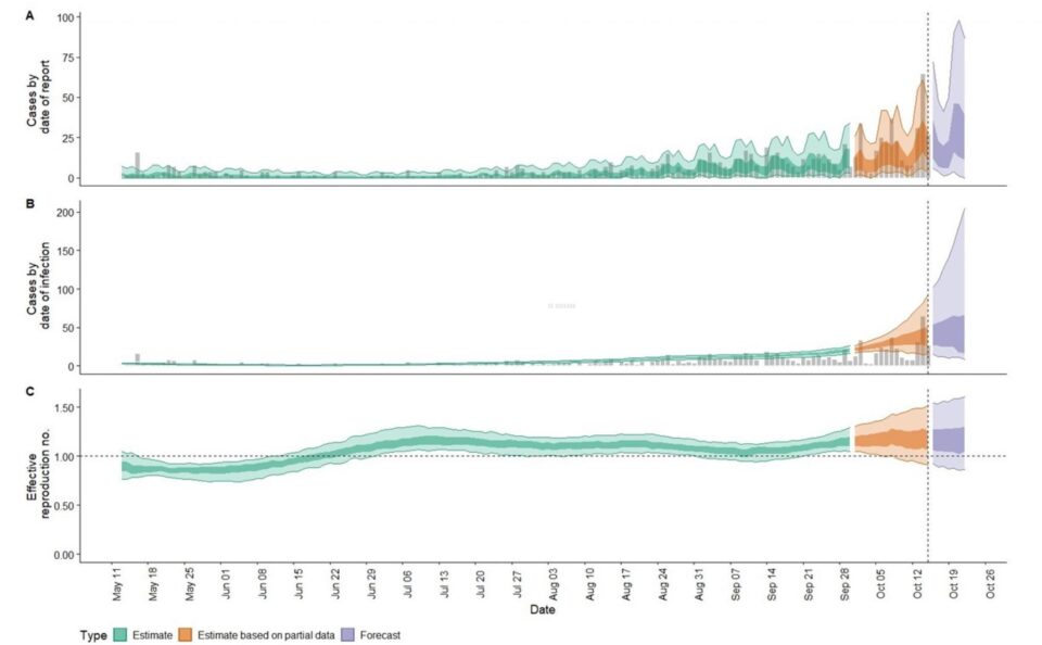 Simularea realizată pentru săptămâna următoare (violet) arată o tendință de creștere a numărului de cazuri la nivelului municipiului Suceava