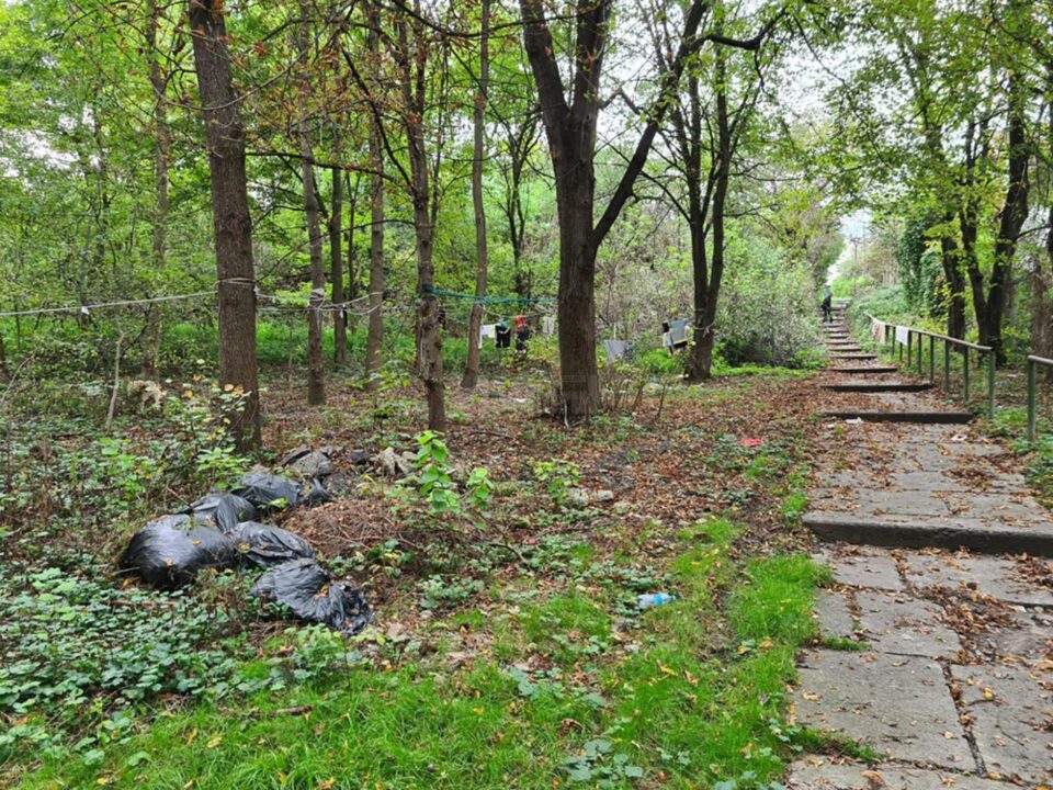 Un colț al parcului Șipote, transformat de romii din zonă în spațiu de agățat chiloți și pantaloni
