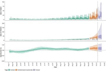 Simularea realizată pentru săptămâna următoare (violet) arată o tendință de creștere a numărului de cazuri la nivelului municipiului Suceava