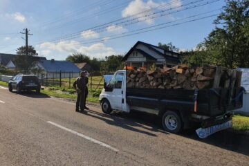 Ilegalități constatate de echipajele de jandarmi aflate în patrulare