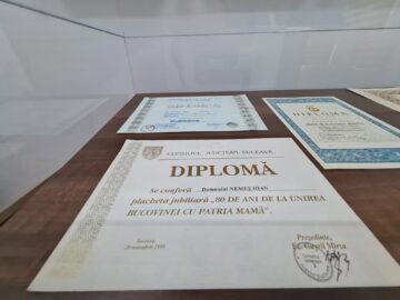 Cea mai mare colecție de fluturi din România aparține unui sucevean, dar este expusă la Dorohoi