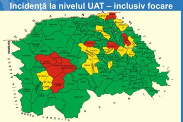 Incidența cazurilor la nivelul unităților administrativ-teritoriale