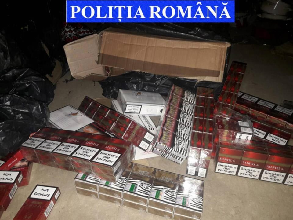 Cu ocazia perchezițiilor au fost descoperite și ridicate aproape 9.000 de pachete de țigări de contrabandă