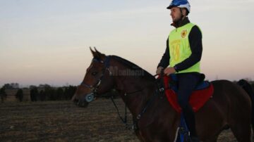 Caii și călăreții Hergheliei Rădăuți, marii câștigători ai finalei Campionatului Național de Anduranță