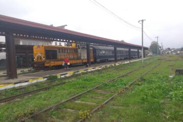 Trenul de Putna Sursa: Pagina Calea ferata Dornești - Putna