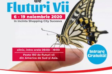 Fluturi vii la Shopping City Suceava