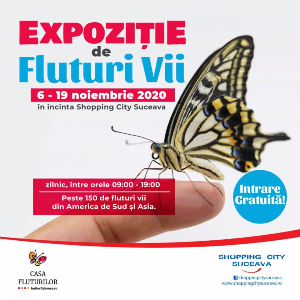 Fluturi vii la Shopping City Suceava Fluturi vii la Shopping City Suceava