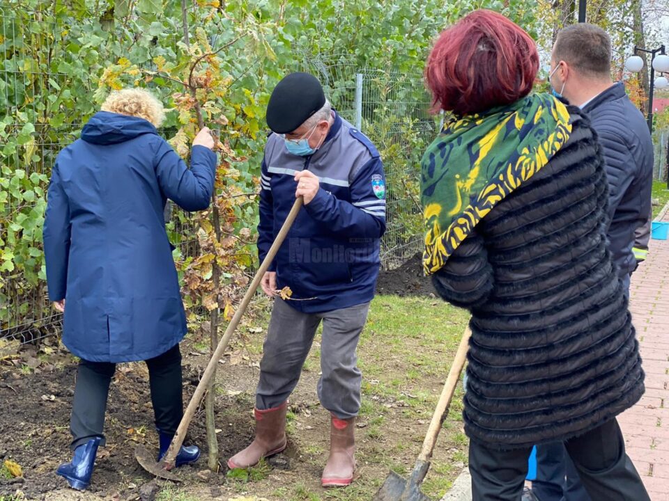 Startul acțiunii de plantare a fost dat în zona de agrement Tătărași, unde au fost plantați 360 de copaci - stejari, plopi, salcâmi 2