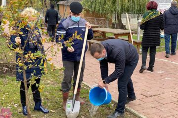 Startul acțiunii de plantare a fost dat în zona de agrement Tătărași, unde au fost plantați 360 de copaci - stejari, plopi, salcâmi